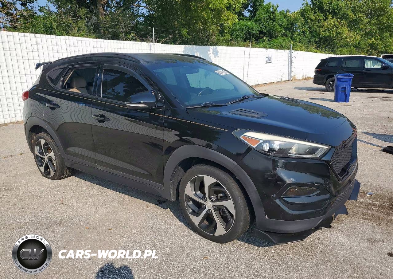 2017 Hyundai Tucson Limited VIN:KM8J33A26HU342243 - 4