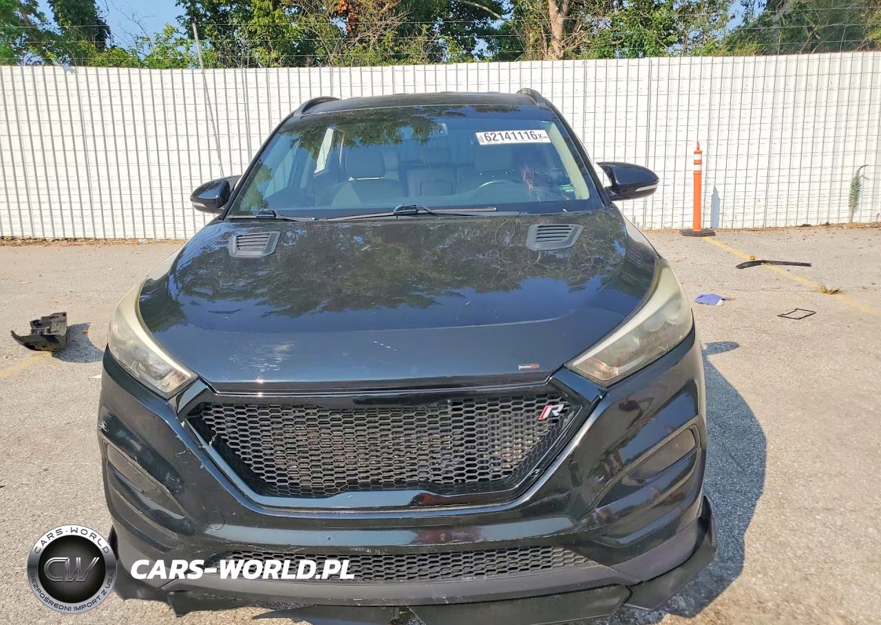 2017 Hyundai Tucson Limited VIN:KM8J33A26HU342243 - 5