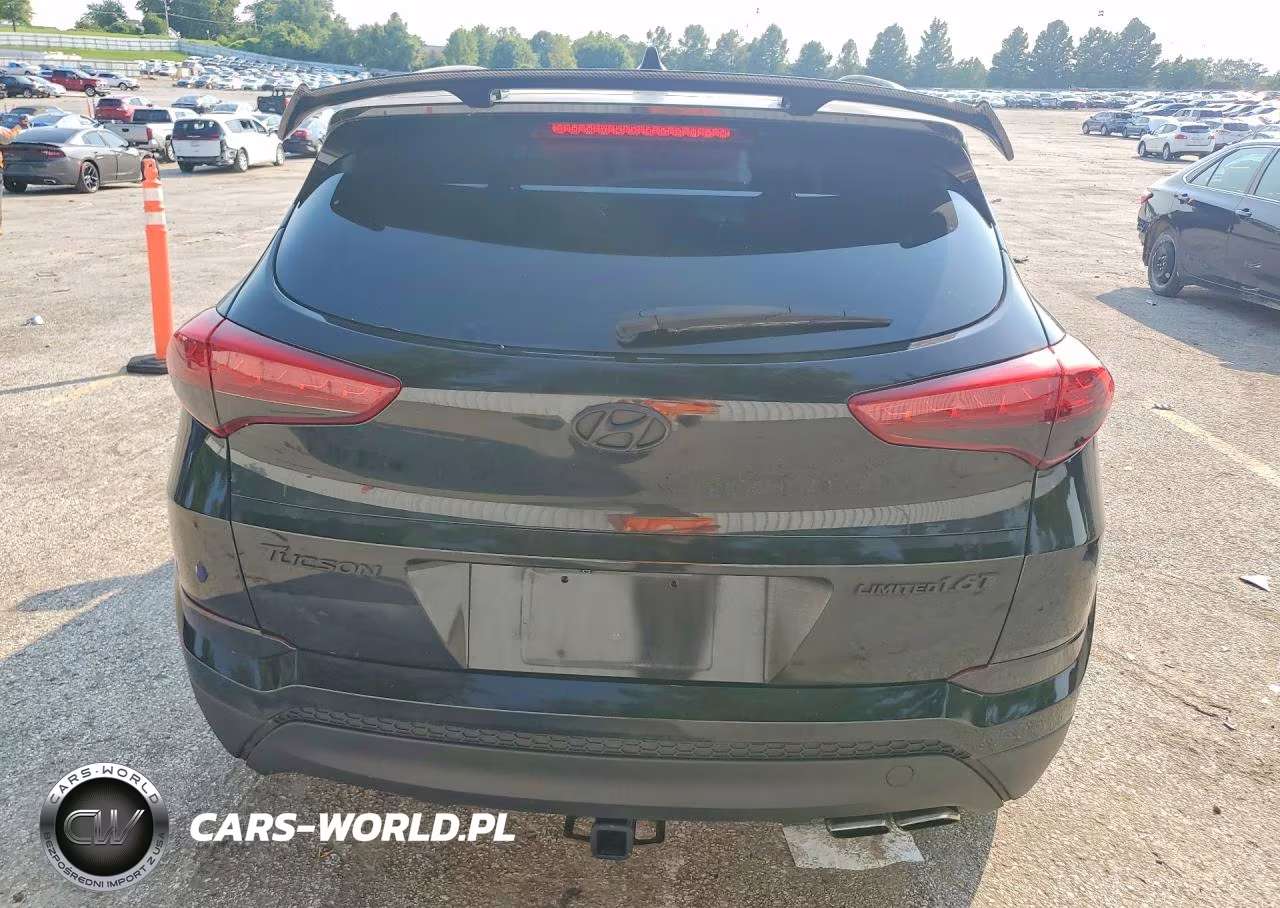 2017 Hyundai Tucson Limited VIN:KM8J33A26HU342243 - 6