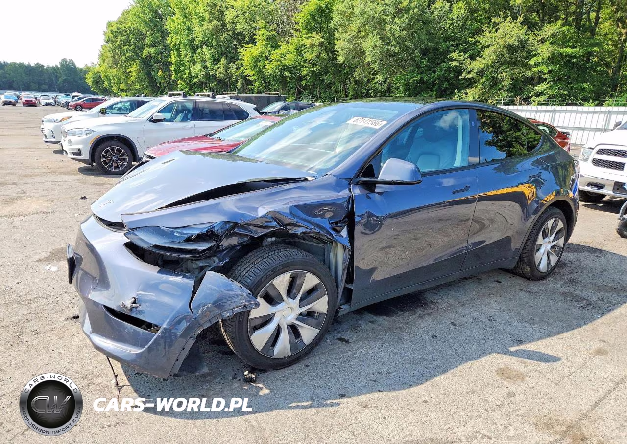 2023 Tesla Model Y VIN:7SAYGDEE6PF884423 - 1