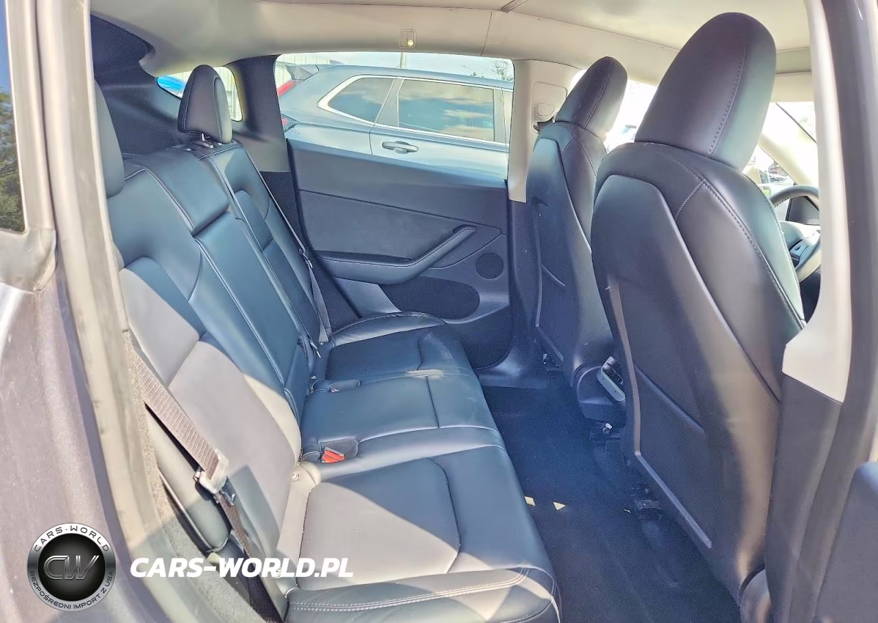 2023 Tesla Model Y VIN:7SAYGDEE6PF884423 - 10