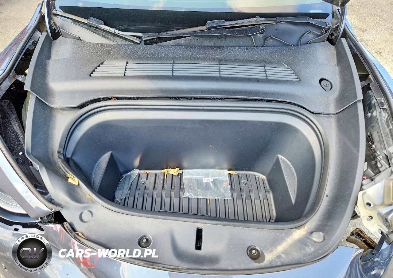 2023 Tesla Model Y VIN:7SAYGDEE6PF884423 - 11
