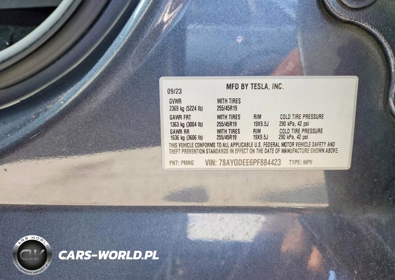 2023 Tesla Model Y VIN:7SAYGDEE6PF884423 - 12