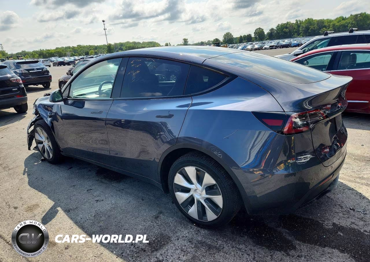 2023 Tesla Model Y VIN:7SAYGDEE6PF884423 - 2
