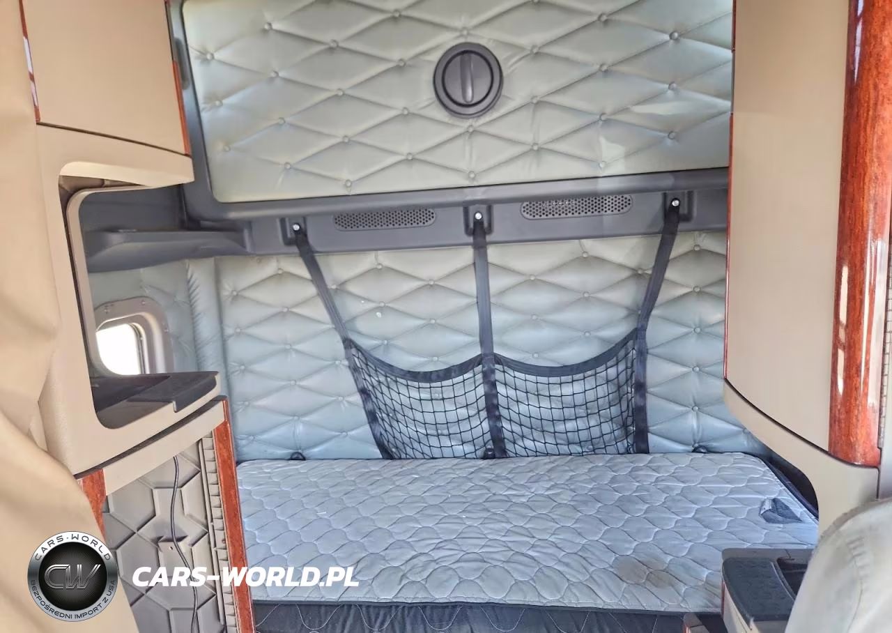 2017 Freightliner Cascadia 125 VIN:3AKJGLDR2HSHF4212 - 10