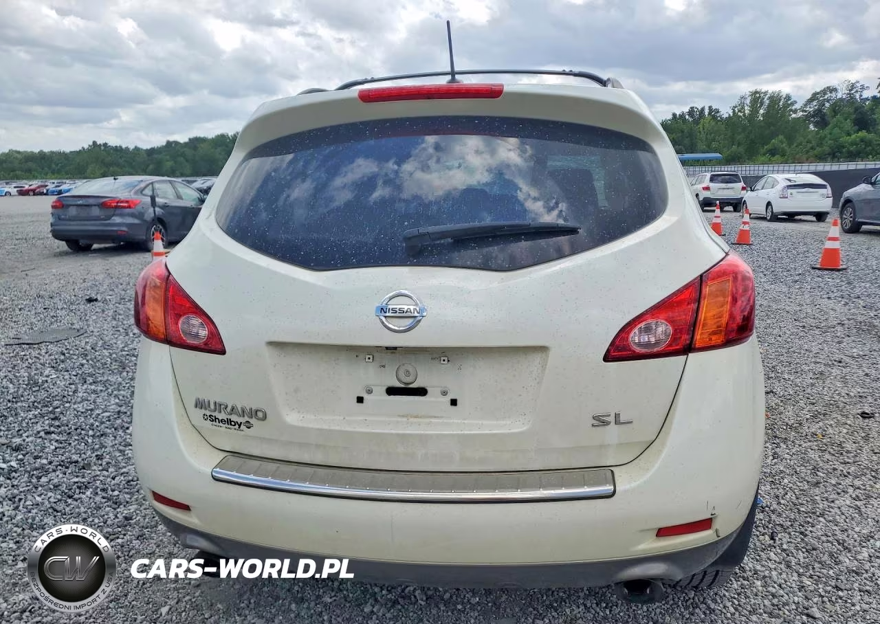 2010 Nissan Murano S VIN:JN8AZ1MU6AW016008 - 6