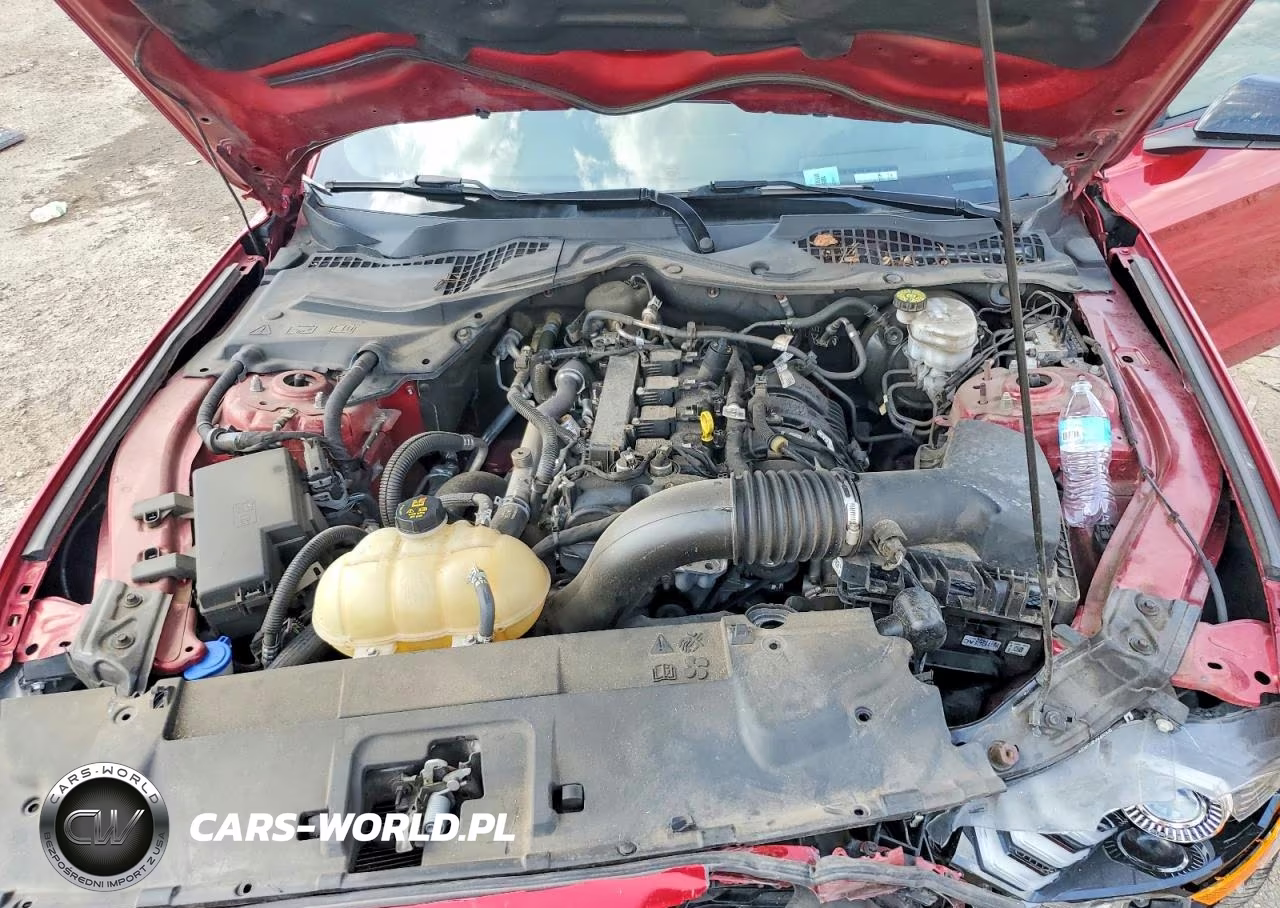 2021 Ford Mustang VIN:1FA6P8TH0M5148704 - 11