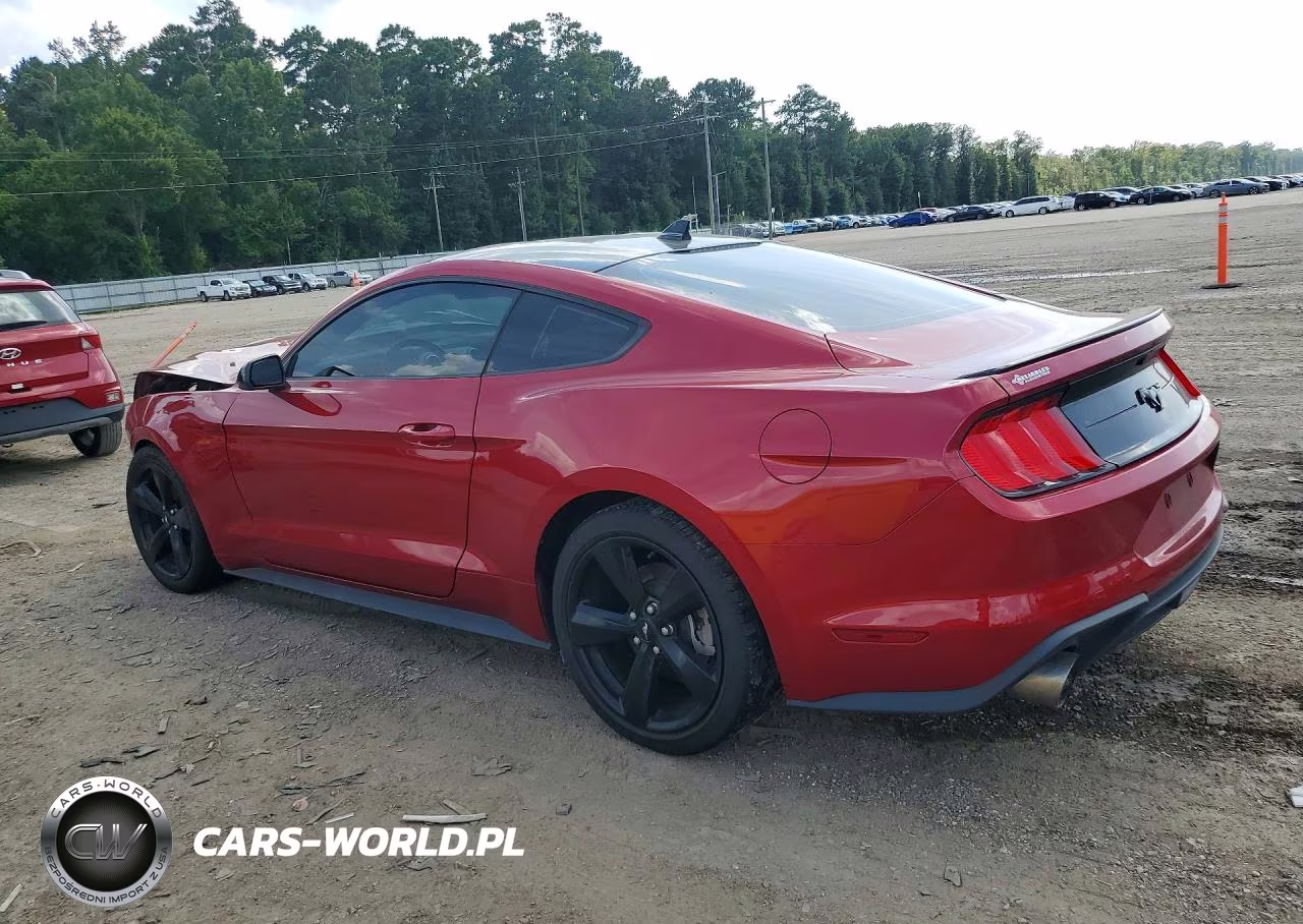2021 Ford Mustang VIN:1FA6P8TH0M5148704 - 2