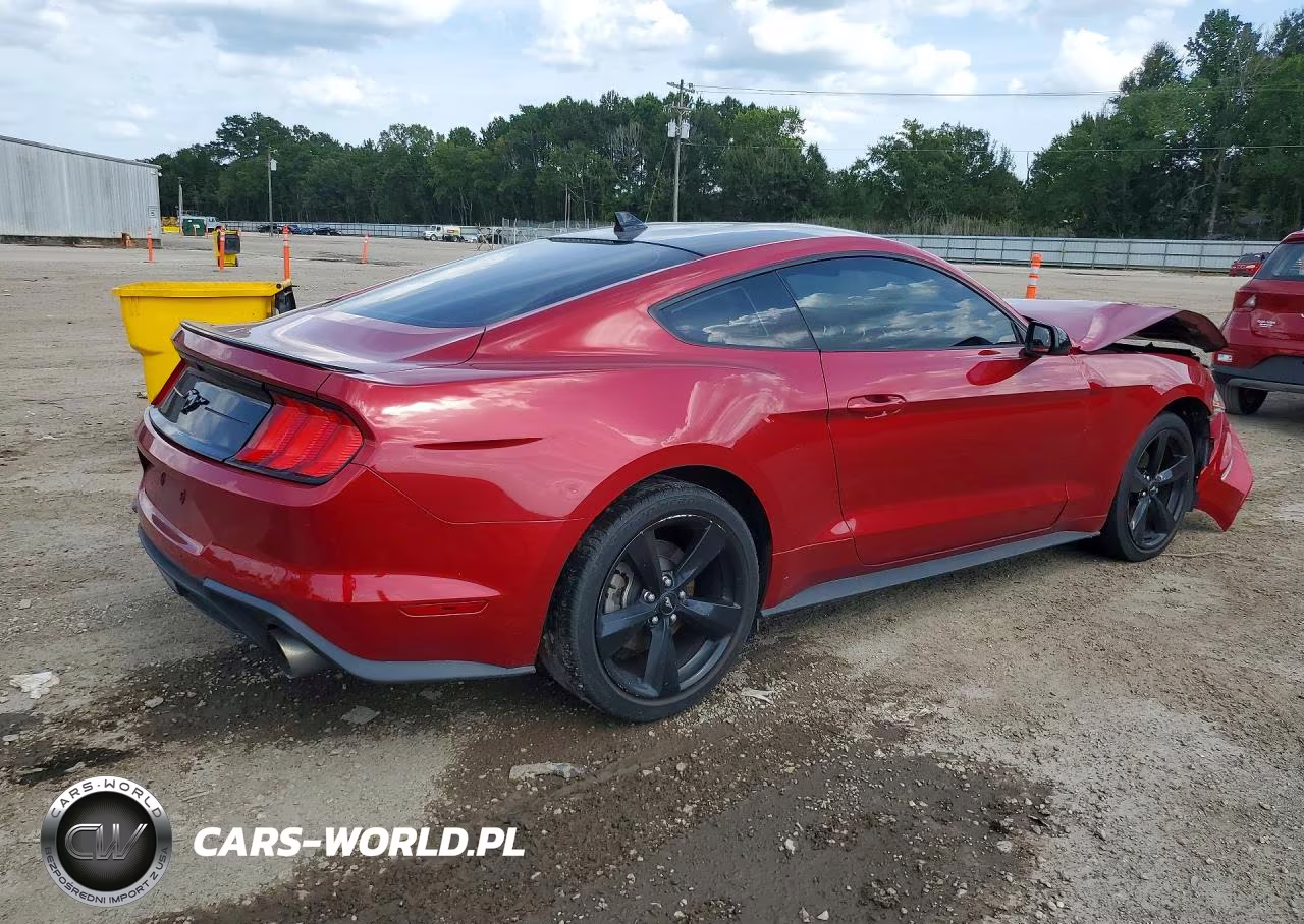 2021 Ford Mustang VIN:1FA6P8TH0M5148704 - 3