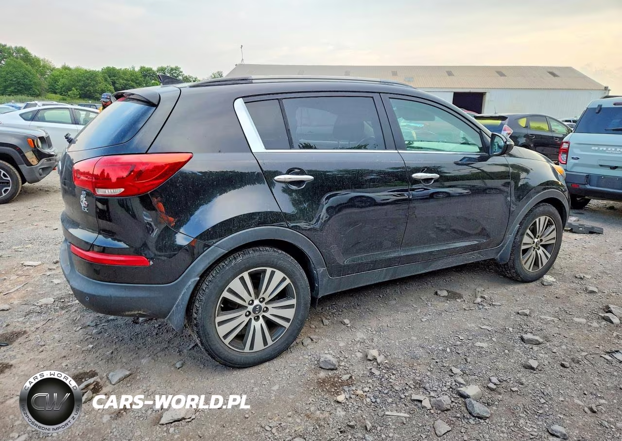 2014 Kia Sportage Ex VIN:KNDPC3AC1E7577361 - 3