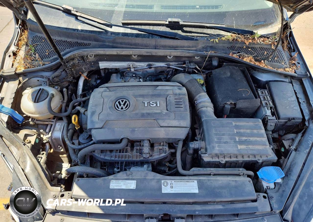 2016 Volkswagen Golf Sportwagen S VIN:3VWC17AU7GM505364 - 12