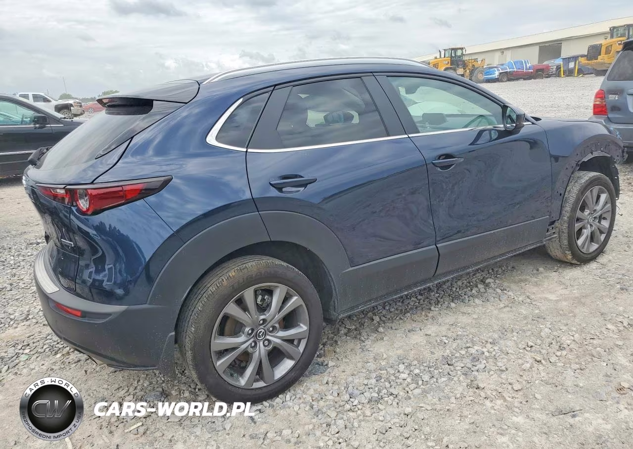 2025 Mazda Cx-30 Preferred VIN:3MVDMBCM6SM825491 - 3