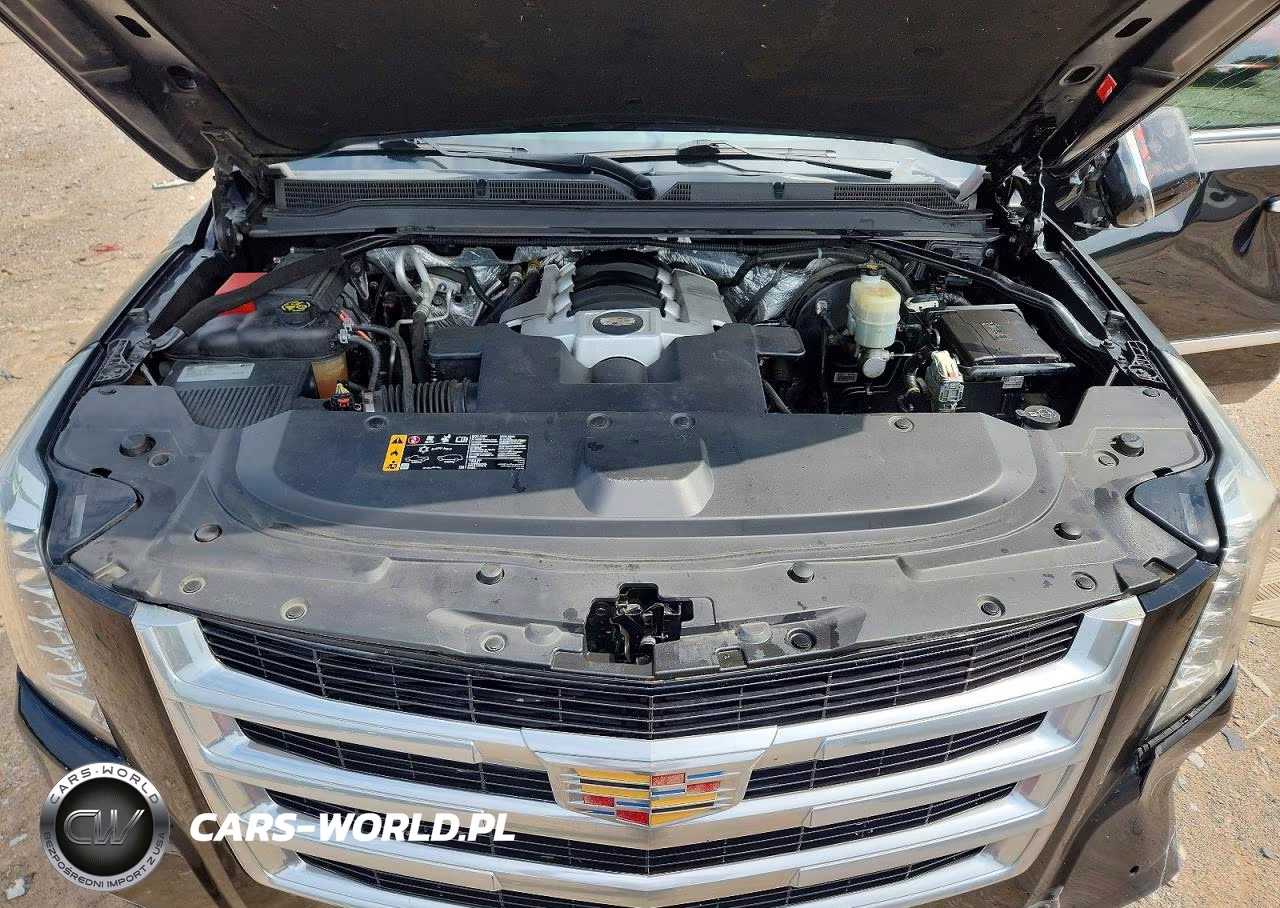 2017 Cadillac Escalade Esv Luxury VIN:1GYS3HKJXHR163177 - 12