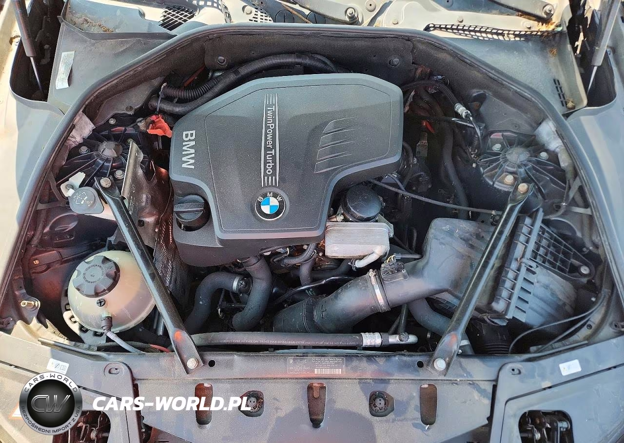 2013 BMW 528 Xi VIN:WBAXH5C57DDW13238 - 11