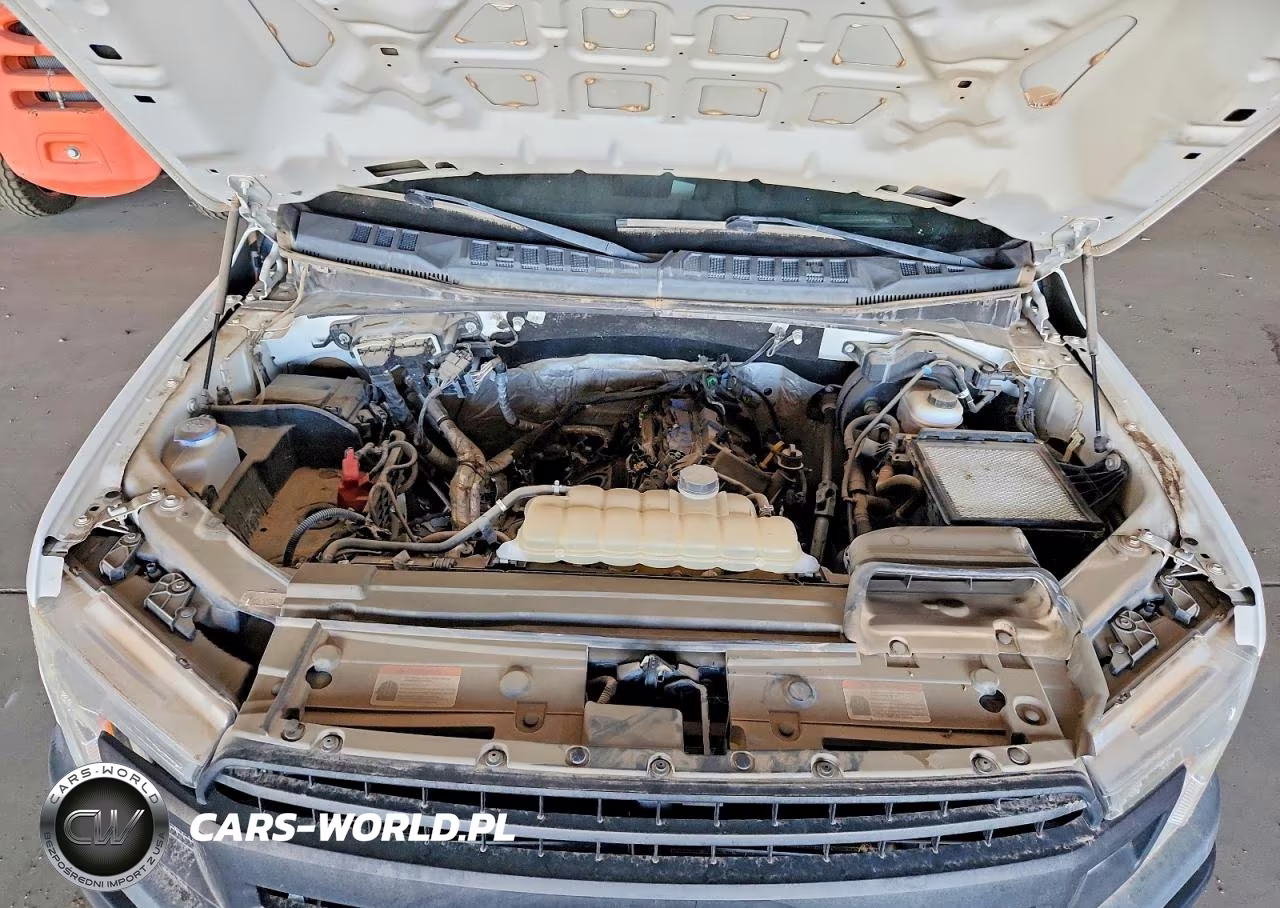 2019 Ford F150 Supercrew VIN:1FTEW1E44KKE85496 - 11