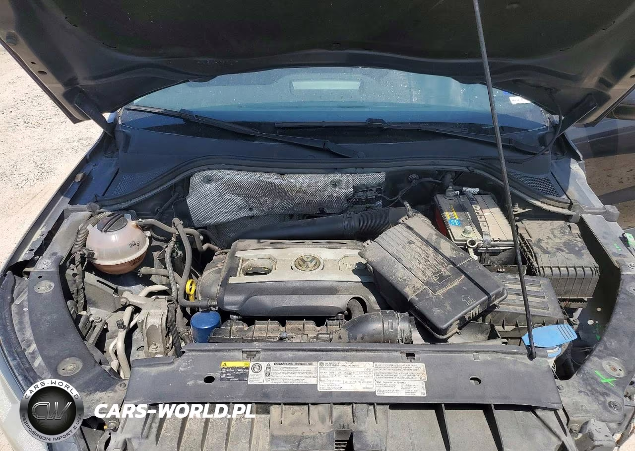 2015 Volkswagen Tiguan S VIN:WVGBV7AX2FW553488 - 12
