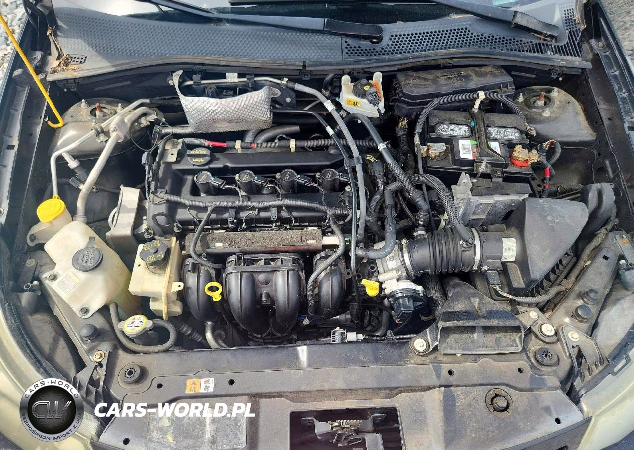 2010 Ford Focus Ses VIN:1FAHP3GN8AW287061 - 11