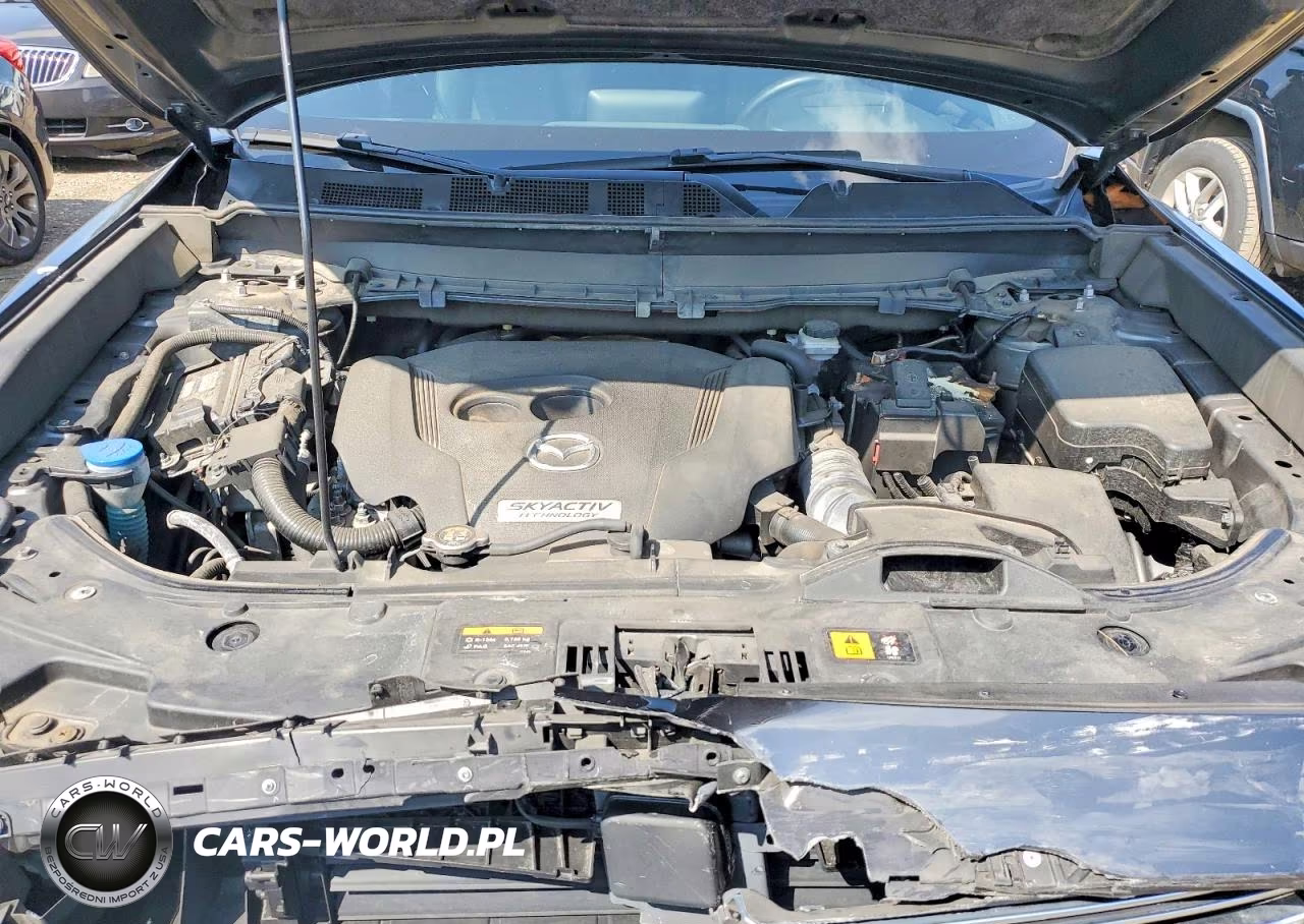 2019 Mazda Cx-9 Grand Touring VIN:JM3TCBDY3K0324179 - 12