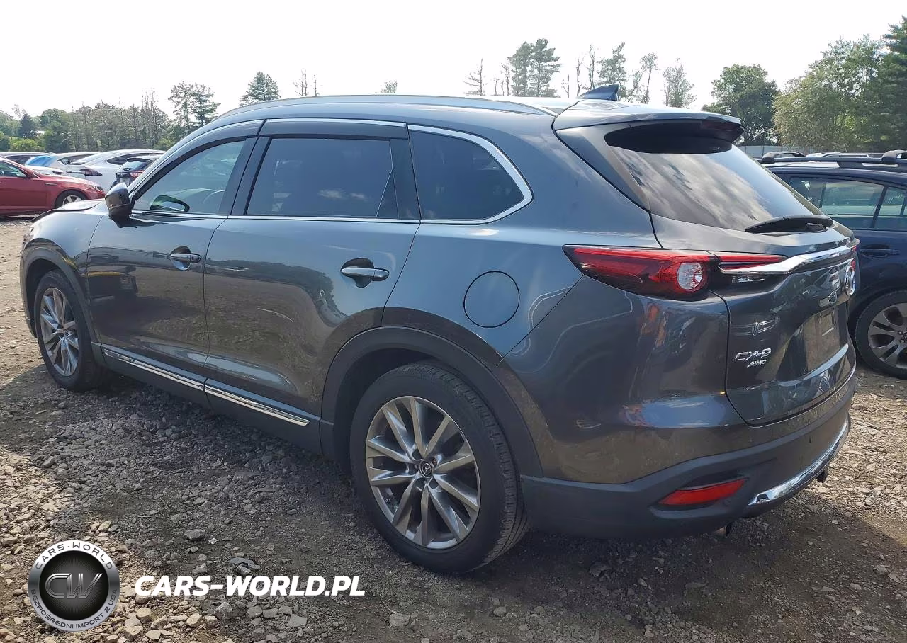 2019 Mazda Cx-9 Grand Touring VIN:JM3TCBDY3K0324179 - 2