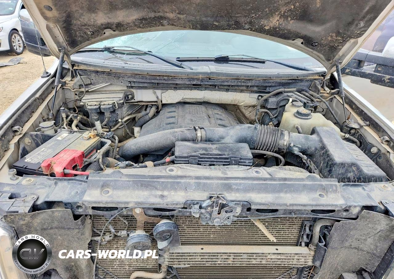 2011 Ford F150 Supercrew VIN:1FTFW1ET4BFB24144 - 11