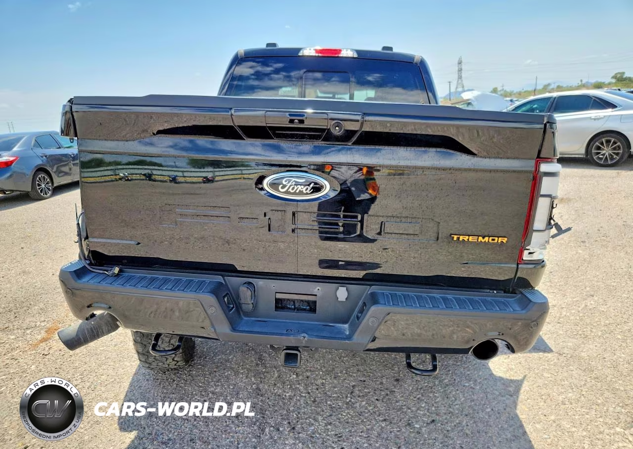 2023 Ford F150 Supercrew VIN:1FTEW1E81PFB85000 - 6