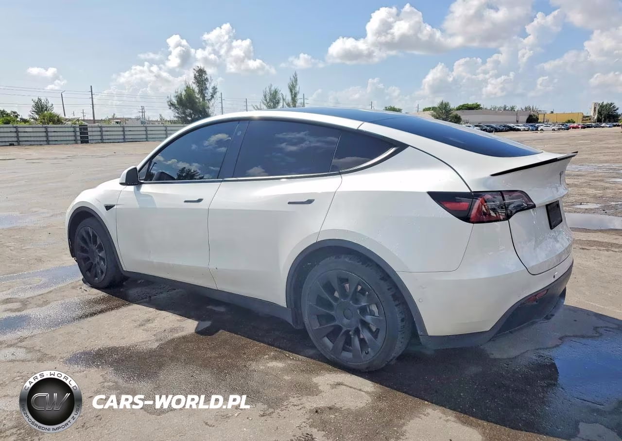 2022 Tesla Model Y VIN:7SAYGDEE1NF307103 - 2