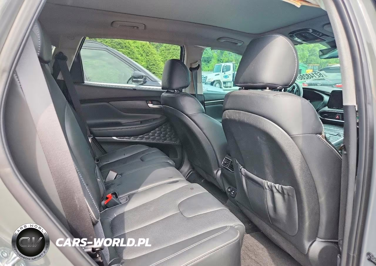 2023 Hyundai Santa Fe Limited VIN:5NMS5DA13PH002411 - 11