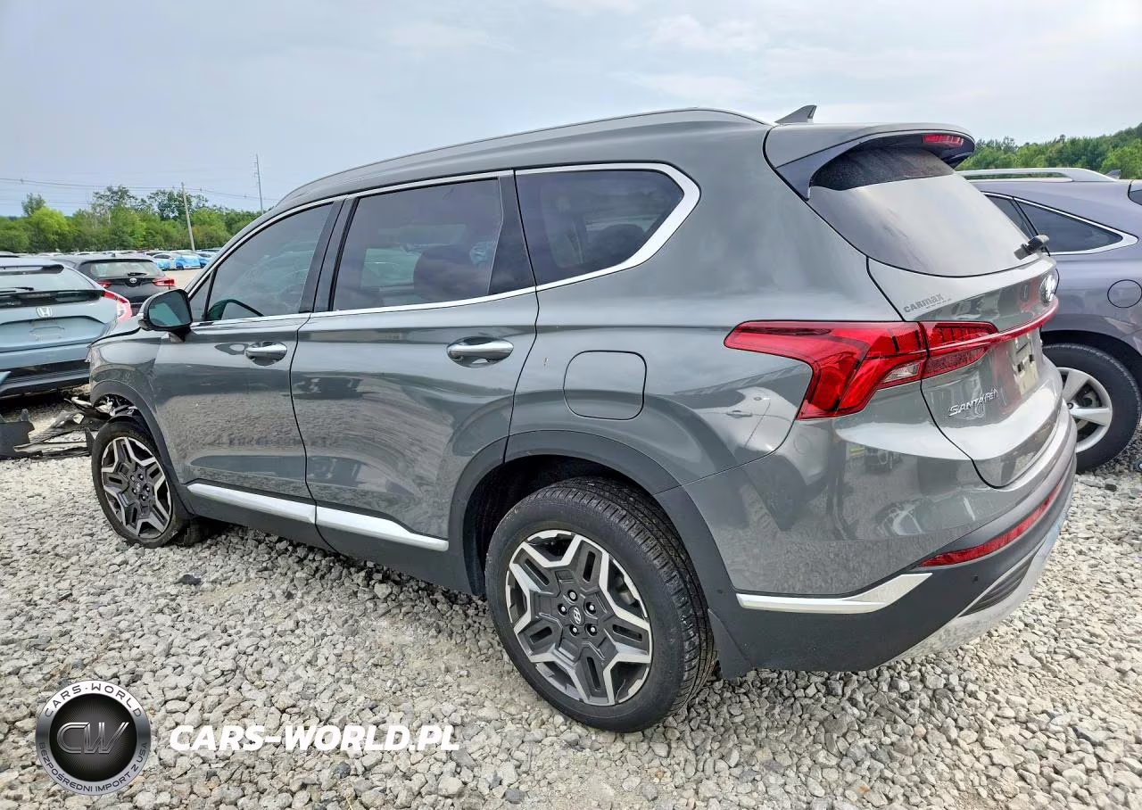2023 Hyundai Santa Fe Limited VIN:5NMS5DA13PH002411 - 2