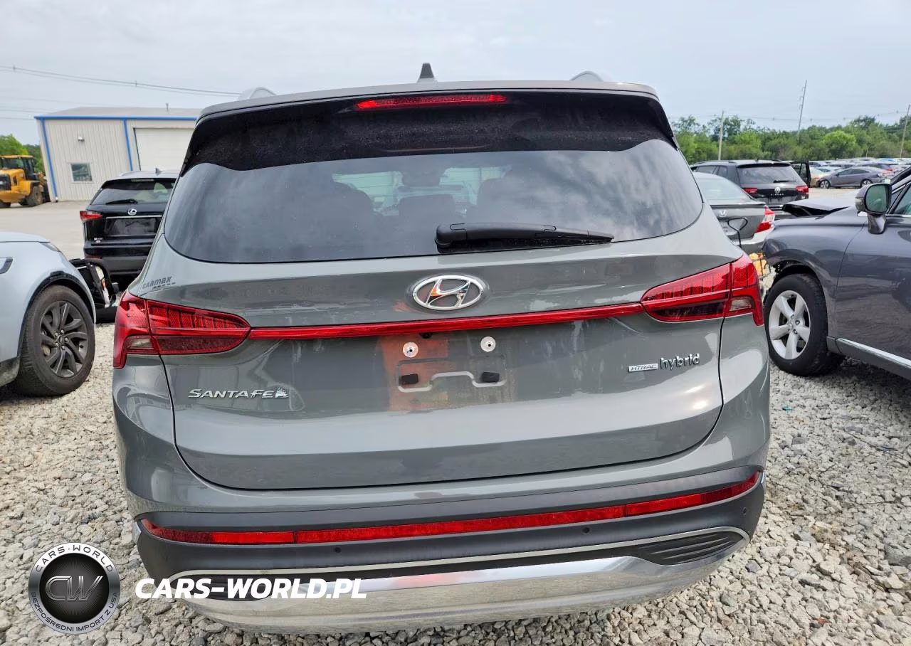 2023 Hyundai Santa Fe Limited VIN:5NMS5DA13PH002411 - 6