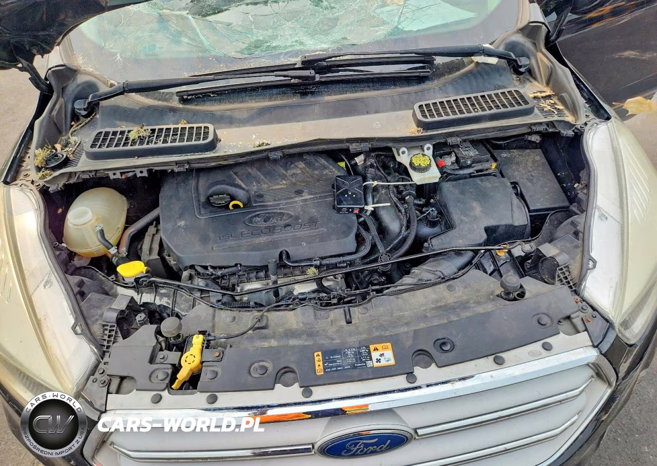 2018 Ford Escape Se VIN:1FMCU9GD3JUA11823 - 11
