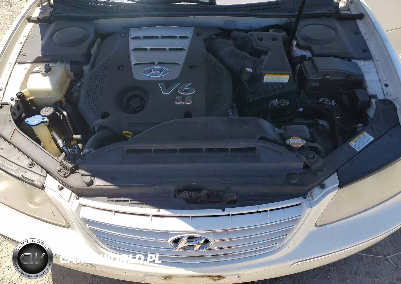 2006 Hyundai Azera Se VIN:KMHFC46F86A111608 - 11