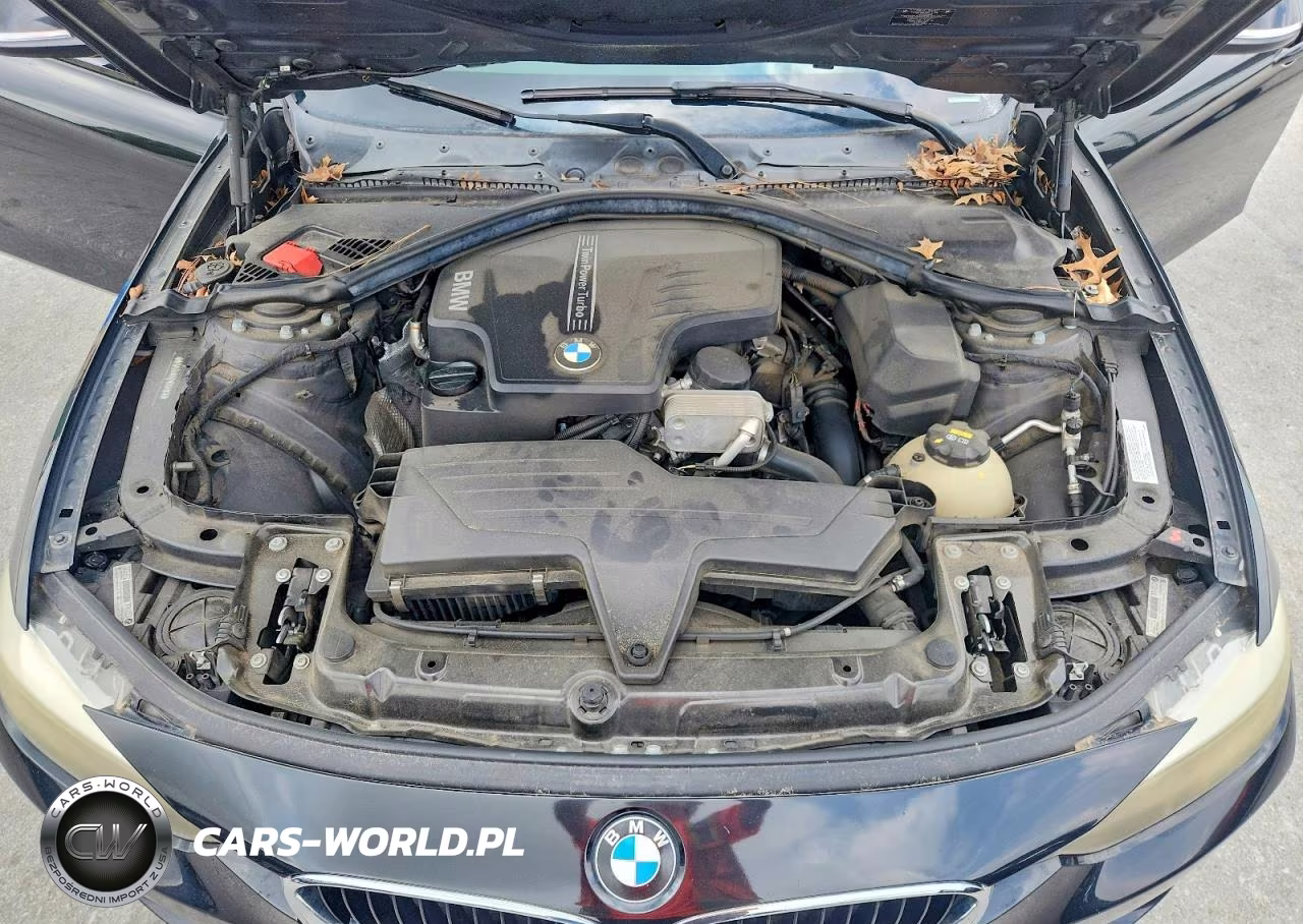 2015 BMW 320 I VIN:WBA3B1G57FNT04160 - 11
