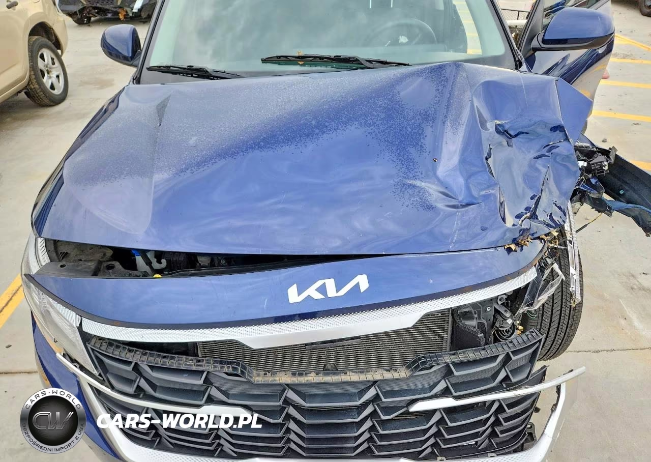 2025 Kia Seltos Lx VIN:KNDEPCAA0S7719933 - 12