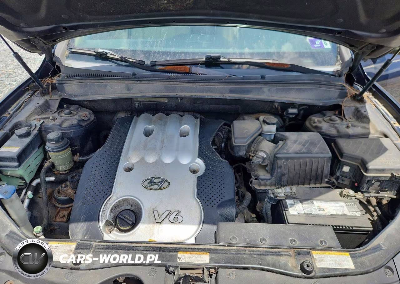 2007 Hyundai Santa Fe Gls VIN:5NMSG13D67H040439 - 12