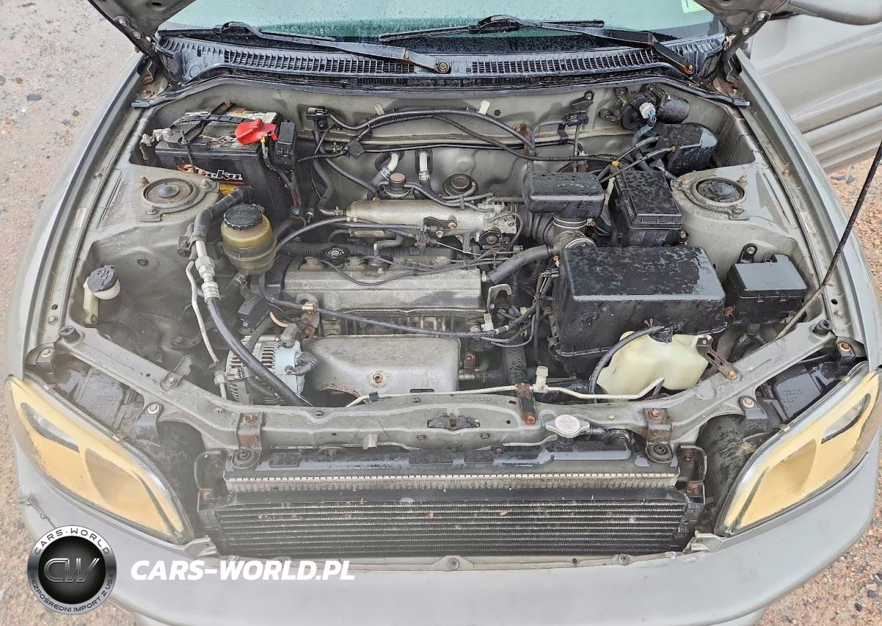1999 Toyota Rav4 Base VIN:JT3HP10V4X7112287 - 12