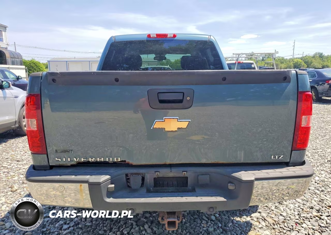 2010 Chevrolet Silverado K1500 Ltz VIN:3GCRKTE31AG193794 - 6