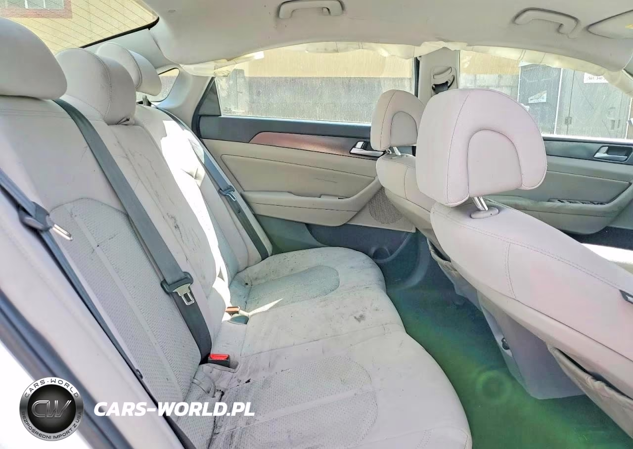 2017 Hyundai Sonata Sport VIN:5NPE34AF8HH535017 - 10