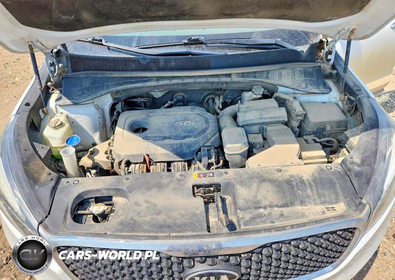 2017 Kia Sorento Lx VIN:5XYPGDA39HG237084 - 11