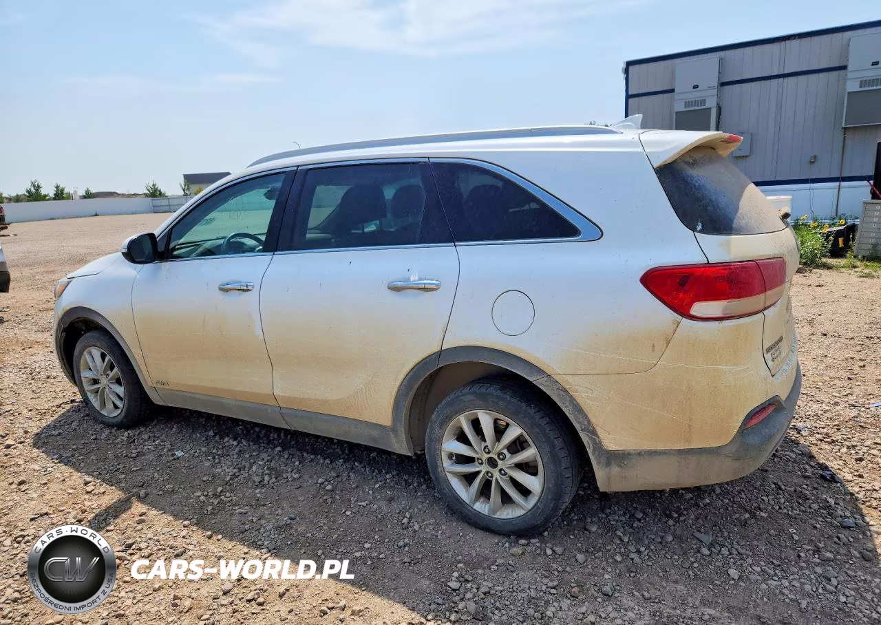 2017 Kia Sorento Lx VIN:5XYPGDA39HG237084 - 2