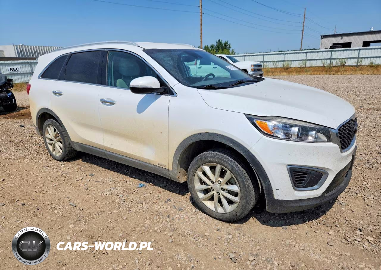 2017 Kia Sorento Lx VIN:5XYPGDA39HG237084 - 4