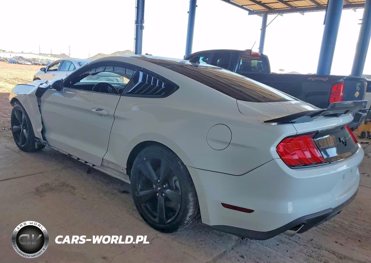 2021 Ford Mustang VIN:1FA6P8TH7M5113447 - 2