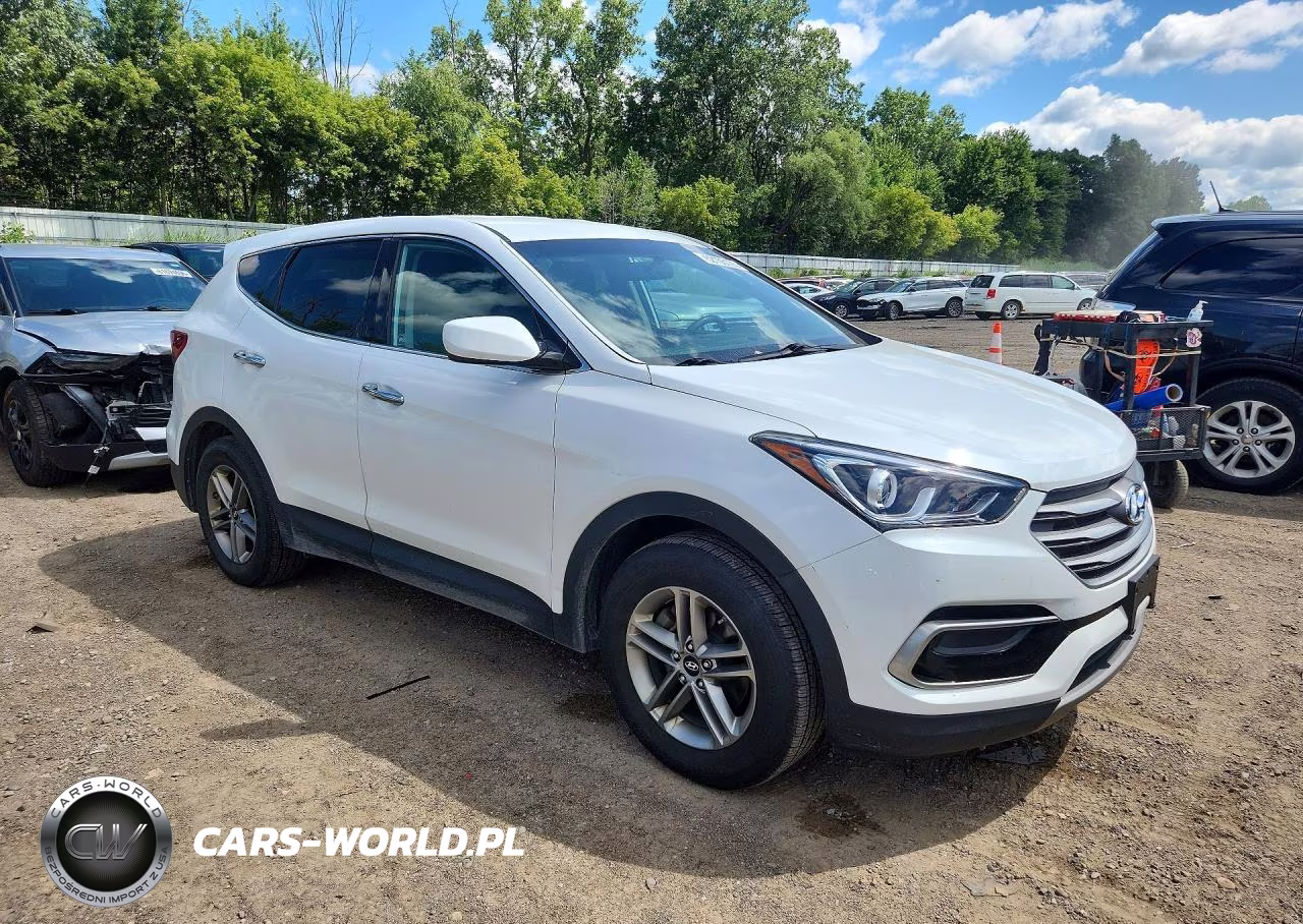 2017 Hyundai Santa Fe Sport 2.4L VIN:5XYZTDLB5HG413394 - 4