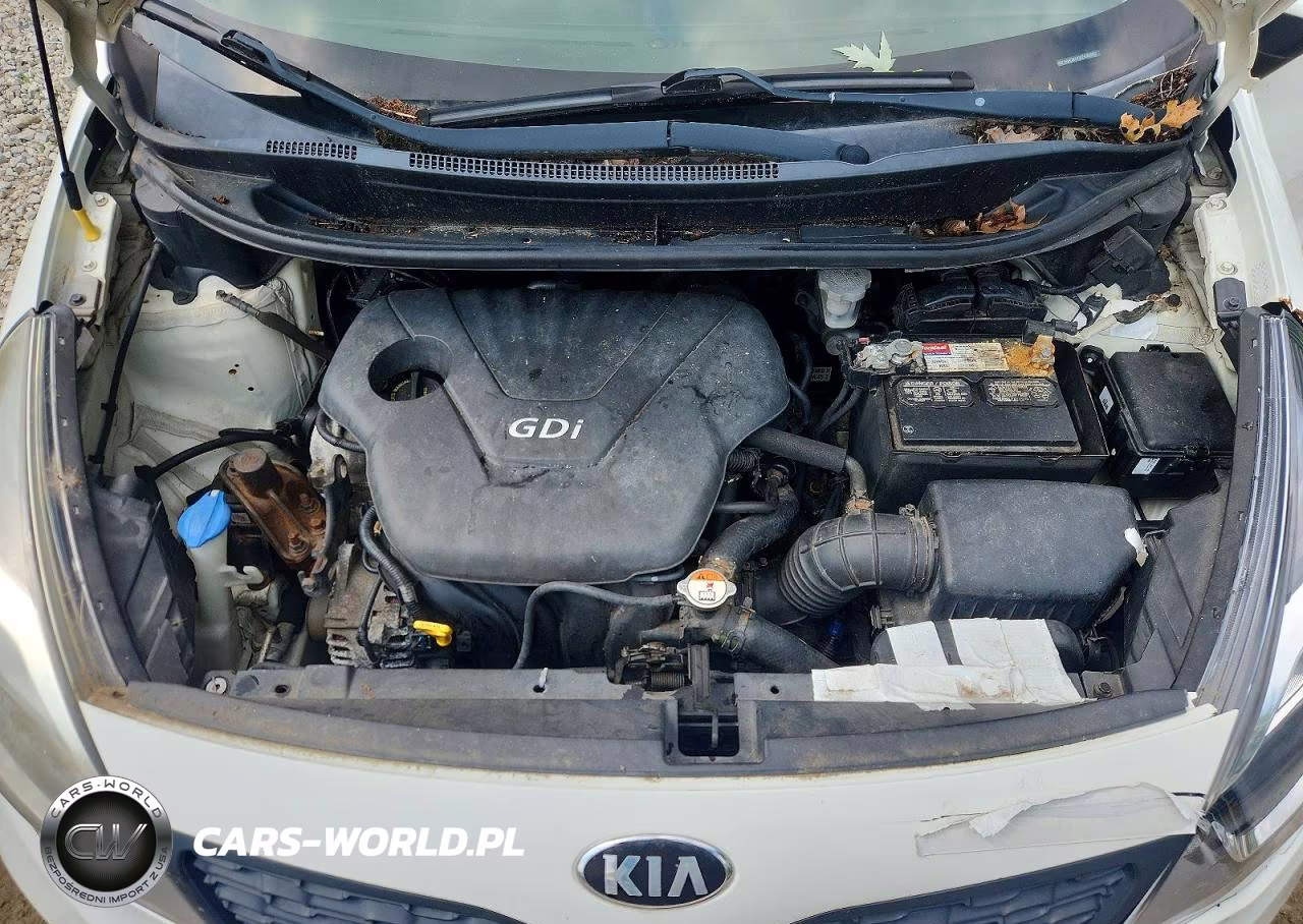 2014 Kia Rio Lx VIN:KNADM4A32E6361950 - 11