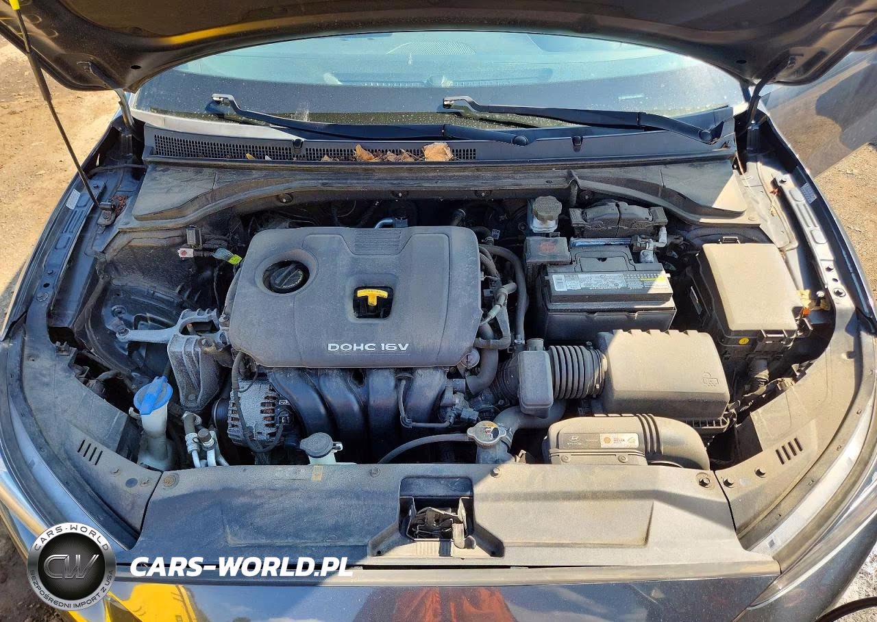 2020 Hyundai Veloster 2.0L VIN:KMHTG6AF6LU026464 - 11