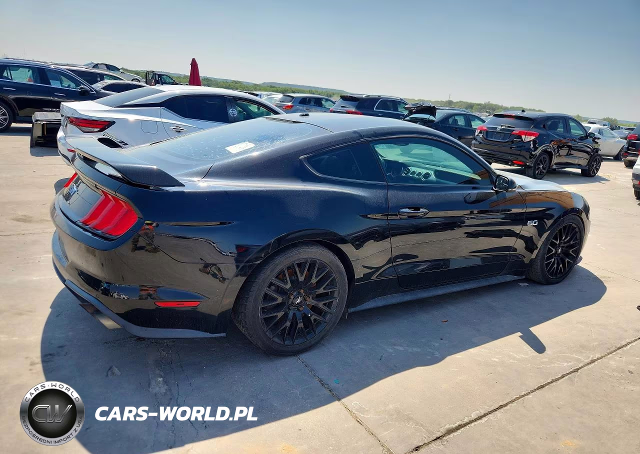 2019 Ford Mustang Gt VIN:1FA6P8CF3K5120486 - 3
