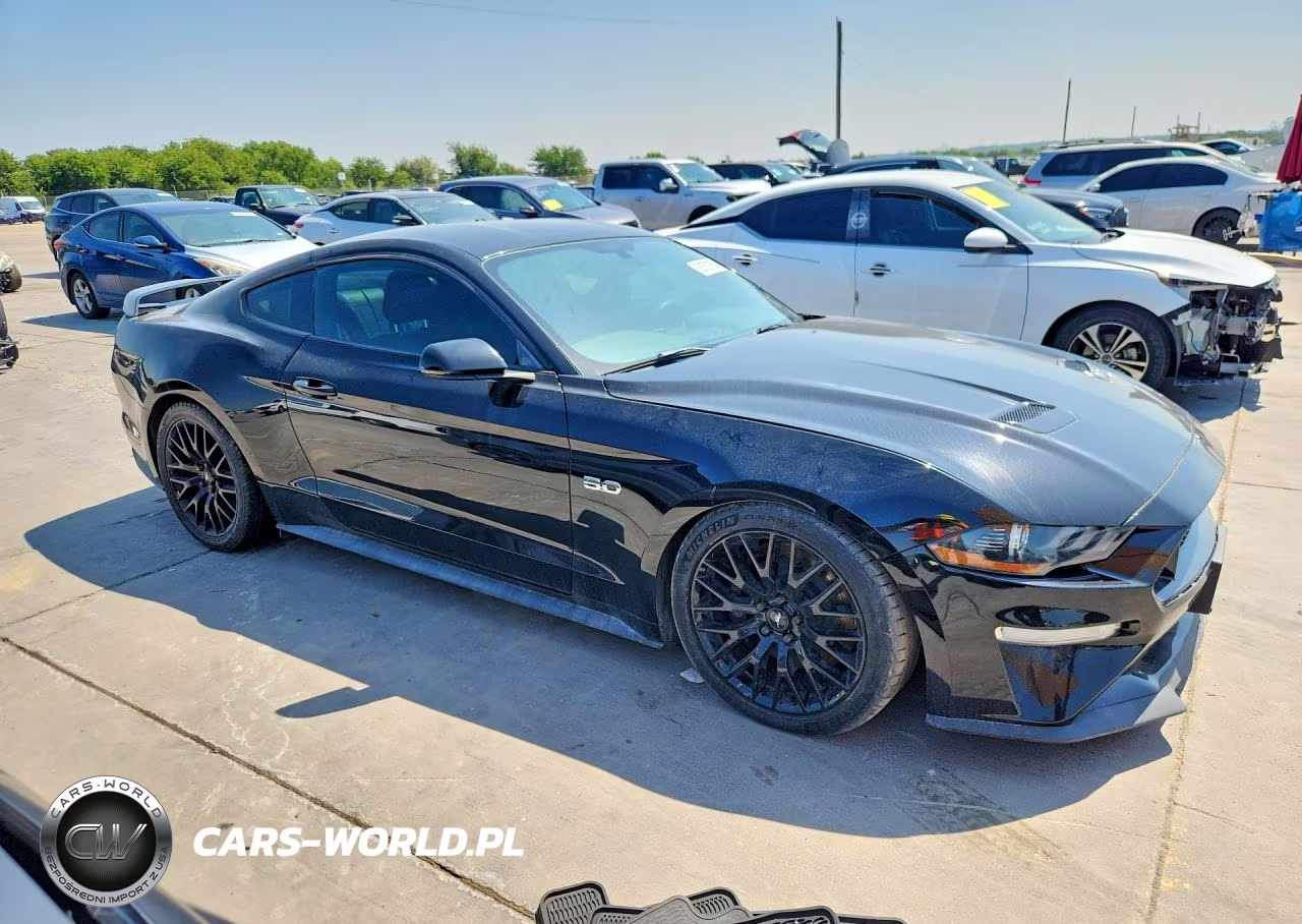 2019 Ford Mustang Gt VIN:1FA6P8CF3K5120486 - 4