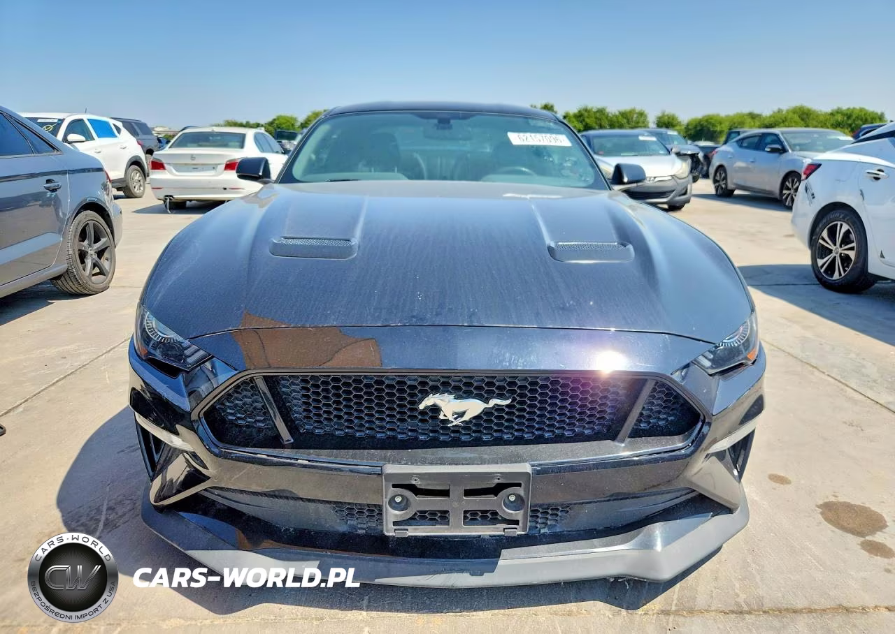 2019 Ford Mustang Gt VIN:1FA6P8CF3K5120486 - 5