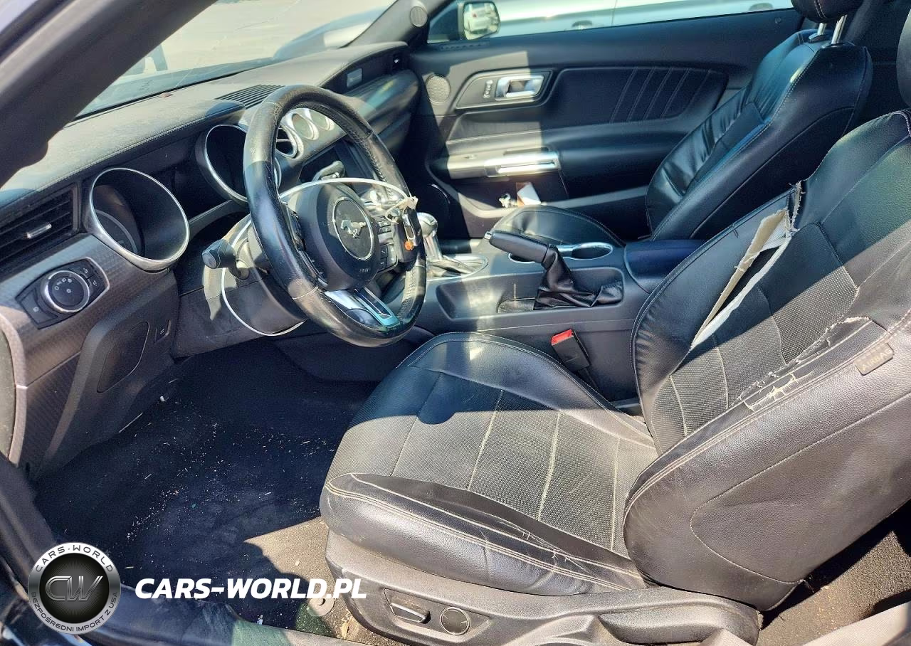 2019 Ford Mustang Gt VIN:1FA6P8CF3K5120486 - 7