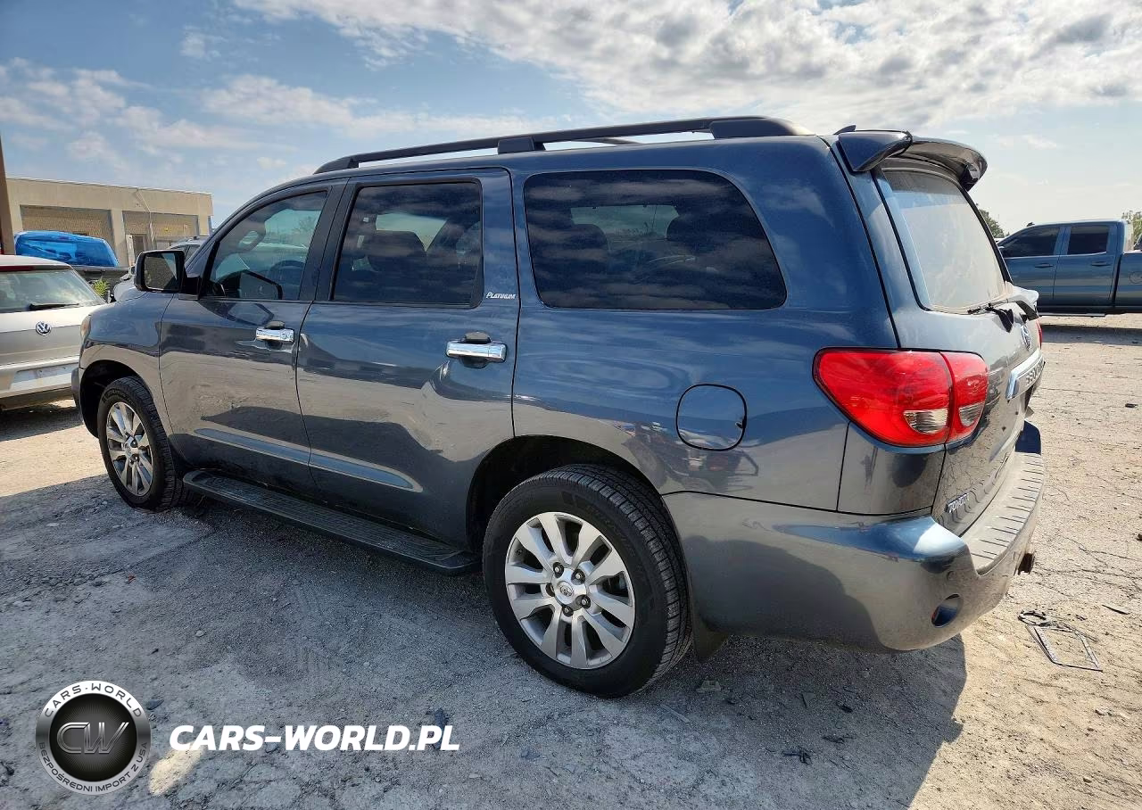 2010 Toyota Sequoia Platinum VIN:5TDYY5G19AS025002 - 2
