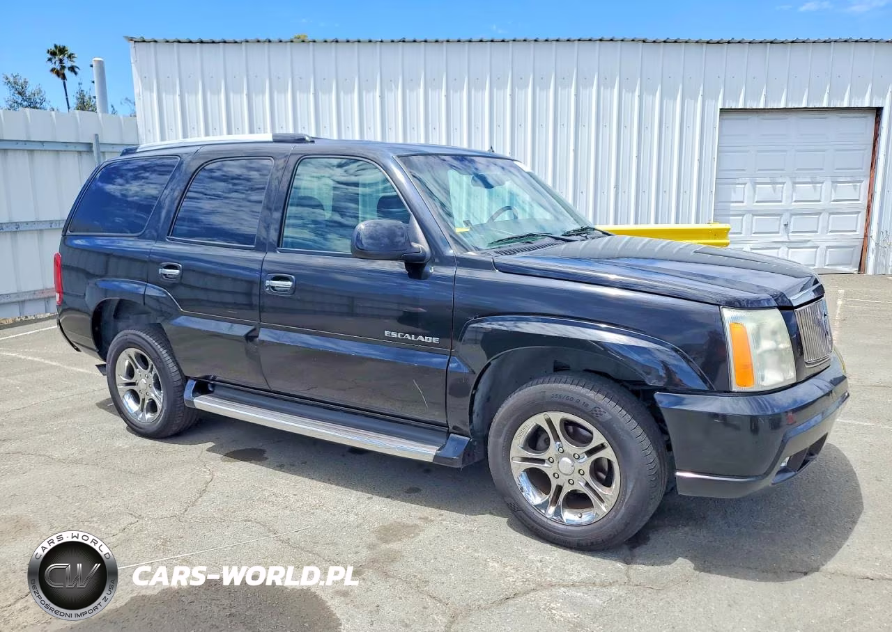 2002 Cadillac Escalade Luxury VIN:1GYEK63N42R221989 - 4